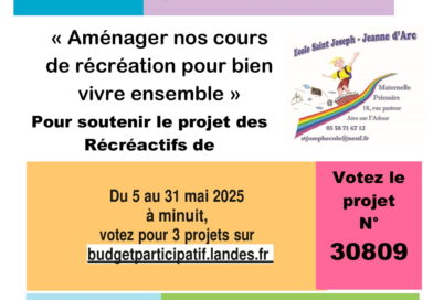 VOTEZ POUR NOTRE PROJET AU BUDGET PARTICIPATIF DES LANDES !